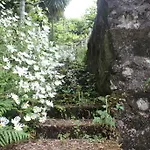 Casa de Férias Quinta Leiras *