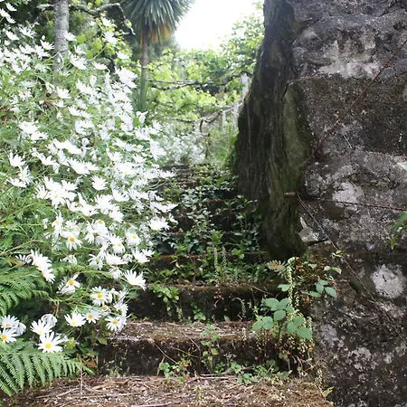 Hébergement de vacances Quinta Leiras *