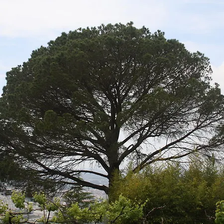 Quinta Leiras Santo Tirso