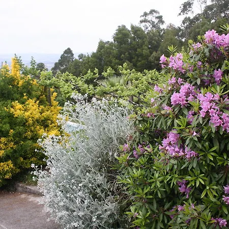 Hébergement de vacances Quinta Leiras *