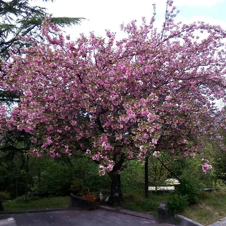 Quinta Leiras Hébergement de vacances *