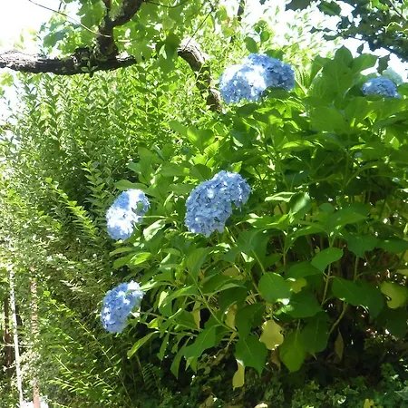 Quinta Leiras Hébergement de vacances Santo Tirso