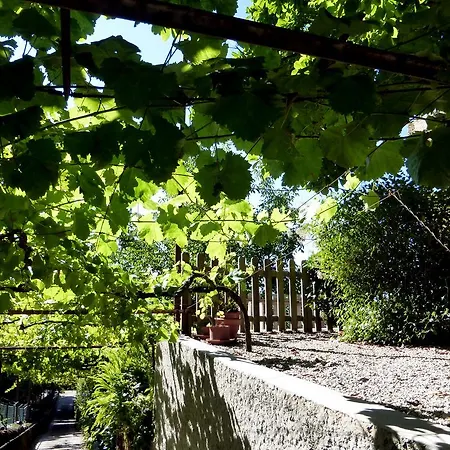 Quinta Leiras * Santo Tirso