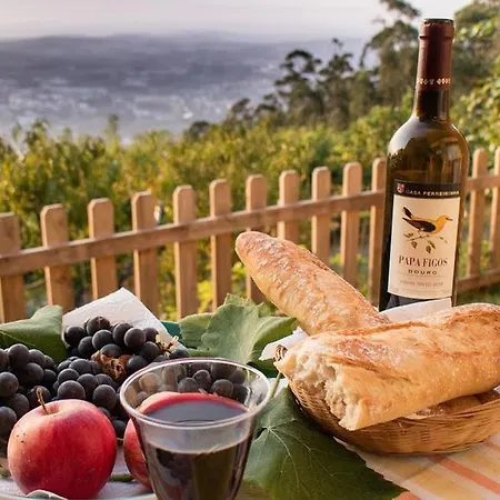 Quinta Leiras Santo Tirso