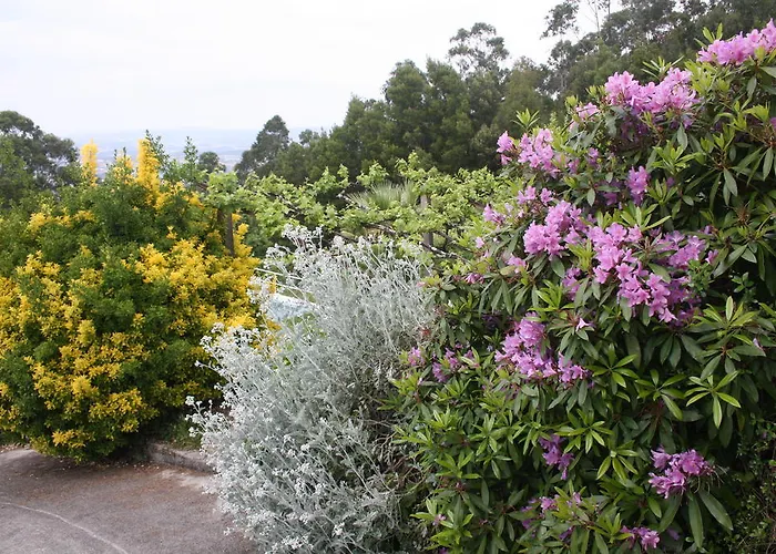 度假居 Quinta Leiras *