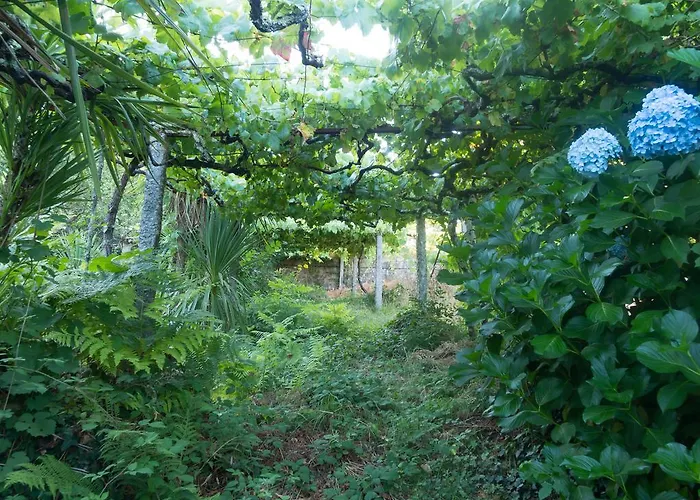 בית נופש Quinta Leiras סנטו טירסו