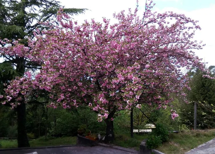 Quinta Leiras 度假居 *