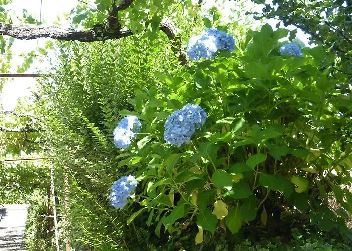 Quinta Leiras 度假居 圣托·蒂尔索