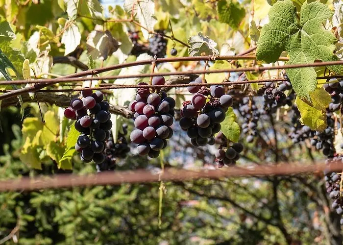 בית נופש Quinta Leiras